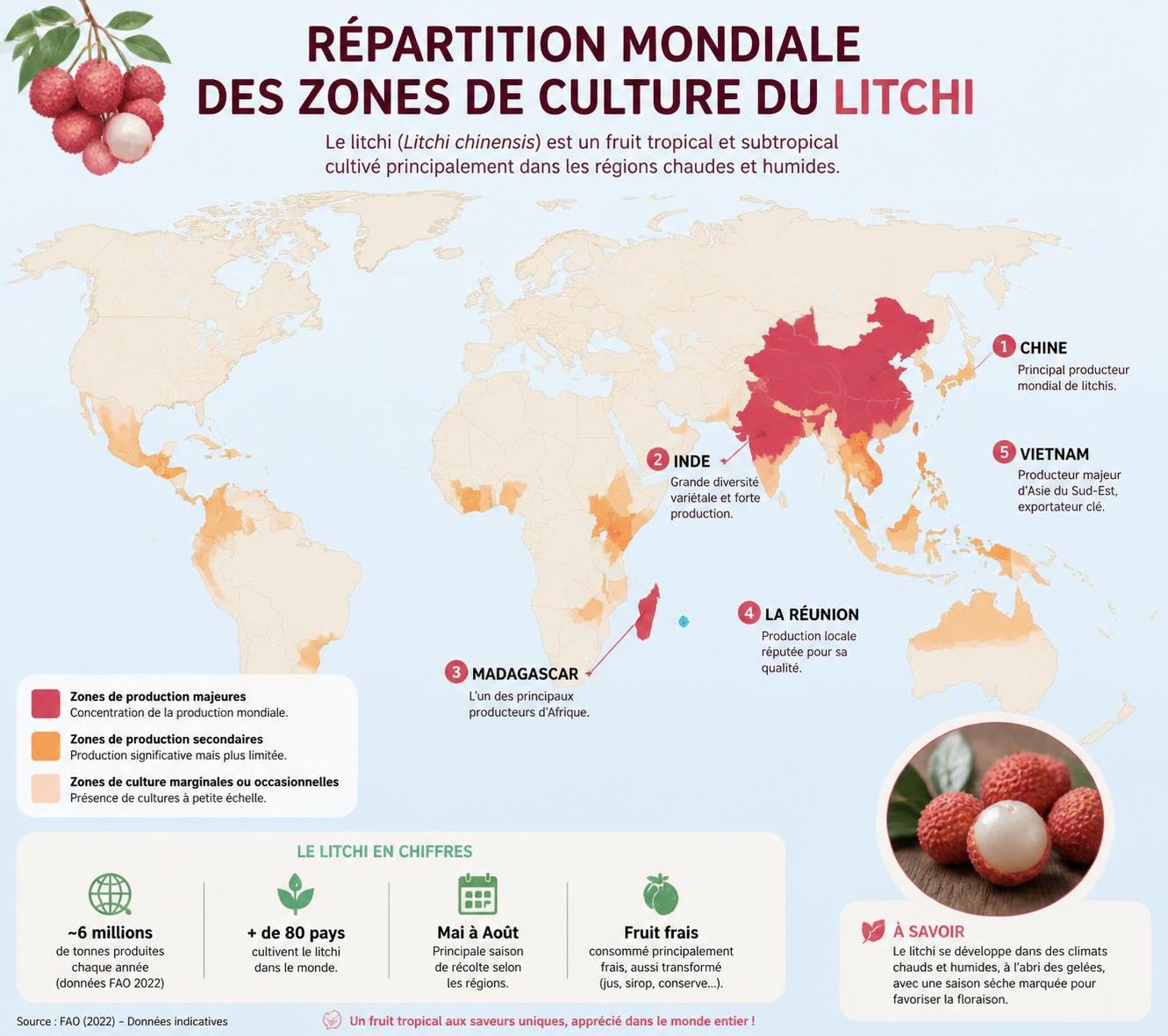 découvrez les origines chinoises du litchi, ses bienfaits pour la santé et des idées originales pour le cuisiner, bien au-delà de la simple salade de fruits.