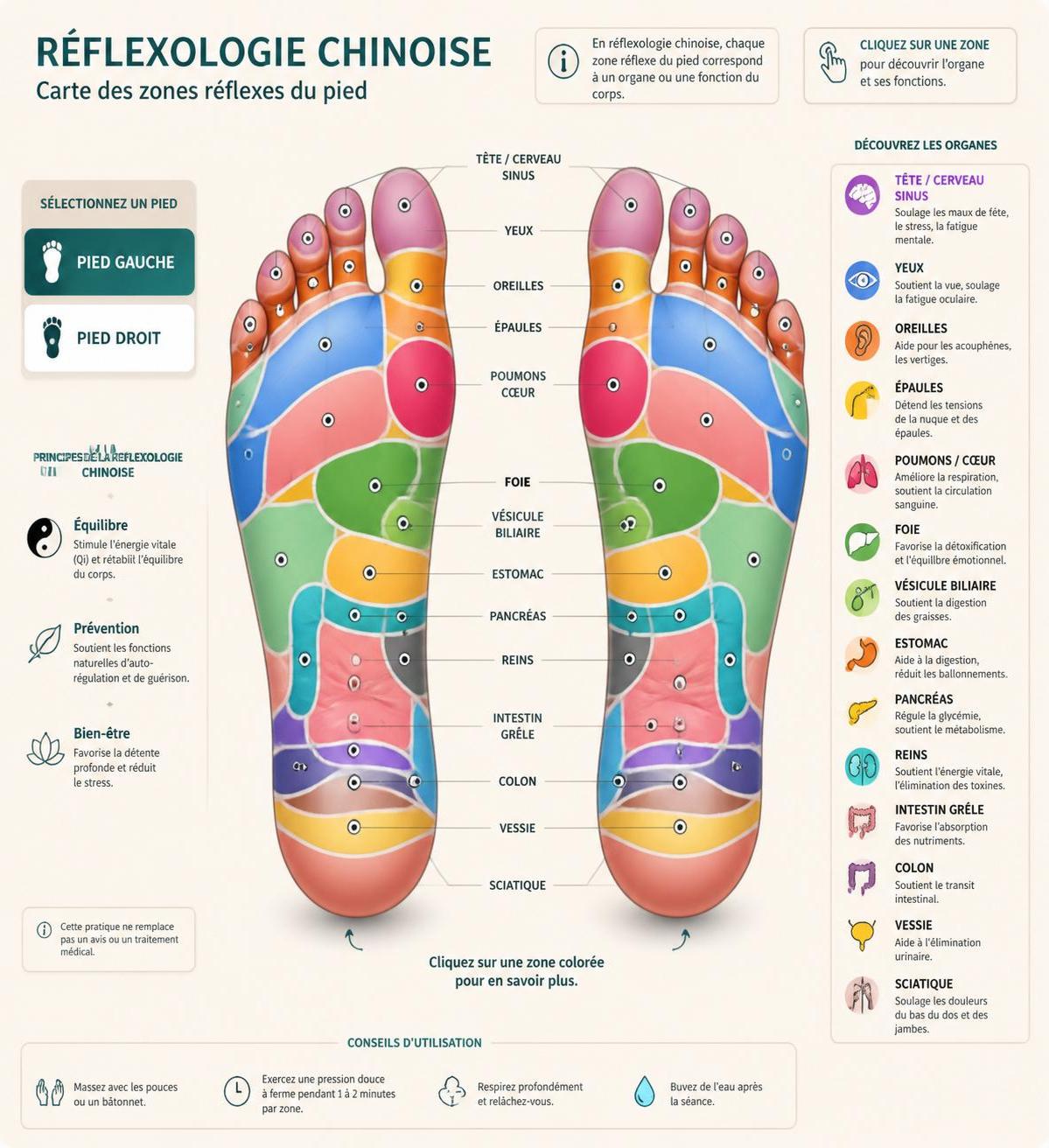 découvrez les bienfaits des massages chinois : tuina, réflexologie et acupression. comprenez les spécificités de ces trois techniques pour choisir celle qui vous convient le mieux.