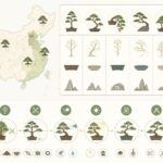 découvrez l'art du penjing, la version chinoise du bonsaï : son histoire, ses styles uniques et nos conseils pour cultiver votre propre penjing chez vous.