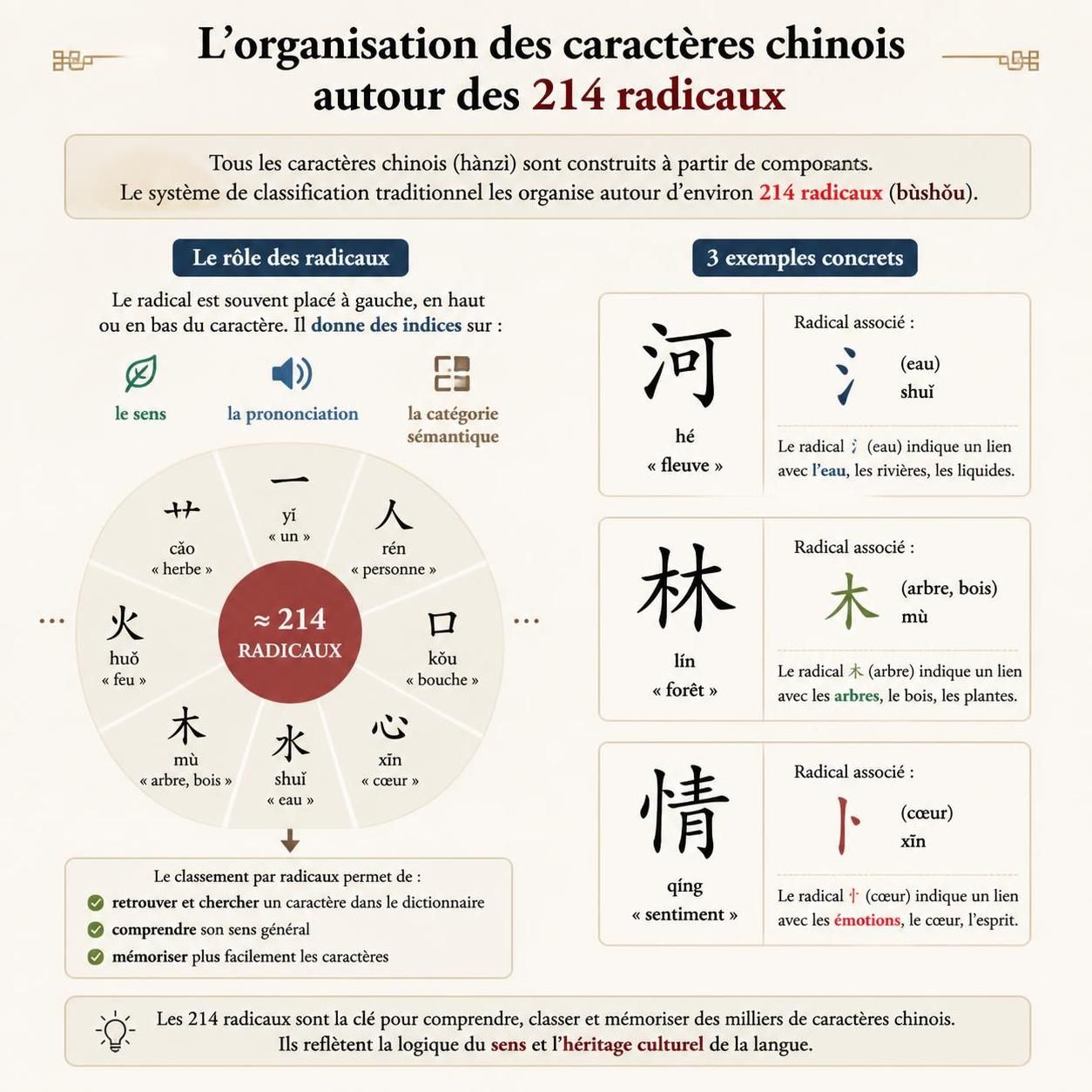 découvrez comment les 50 000 caractères de l'écriture chinoise sont organisés et apprenez combien de ces caractères un locuteur natif maîtrise réellement.