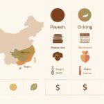 Les jardins de Suzhou : l’art du vide, de l’eau et de la roche — guide d’une visite qui se prépare découvrez les caractéristiques uniques du thé pu-erh, oolong et thé blanc, les grandes familles du thé chinois, et apprenez à les reconnaître pour mieux les apprécier.